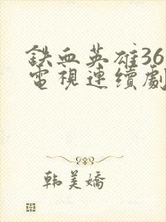 铁血英雄36集电视连续剧免费观看