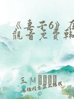 《妻子6》在线观看免费韩剧全集