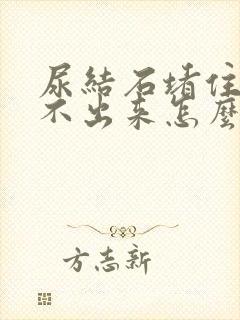 尿结石堵住了尿不出来怎么办