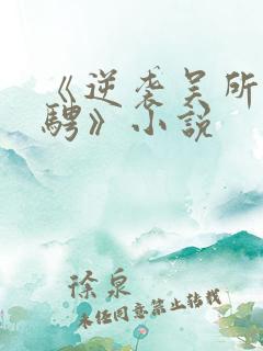 《逆袭吴所畏池骋》小说