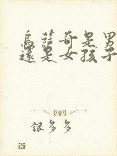 乌萨奇是男孩子还是女孩子