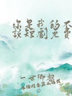 你是我的不可言说短剧免费播放全集