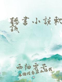 听书小说软件挣钱