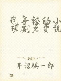 我年轻的小姨电视剧免费观看