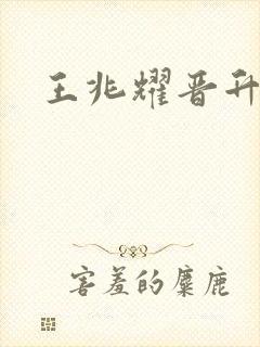 王兆耀晋升中将