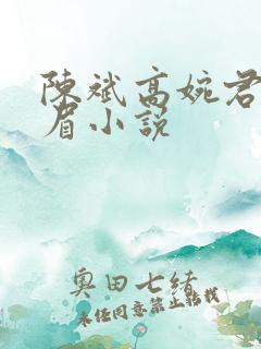 陈斌高婉君赵心眉小说