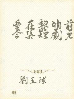 爱在黎明前升起合集短剧免费观看