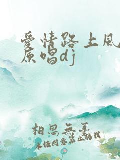 爱情路上风雨多原唱dj