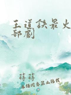 王道铁最火的三部剧