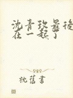 沈青玫最后和谁在一起了