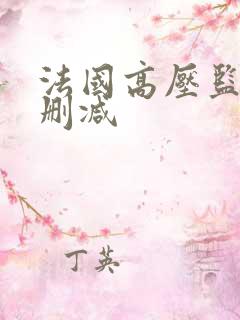 法国高压监狱无删减