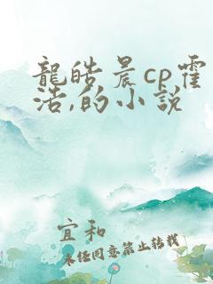 龙皓晨cp霍雨浩,的小说
