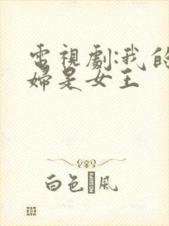 电视剧:我的媳妇是女王