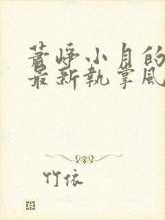 萧峥小月的小说最新执掌风云