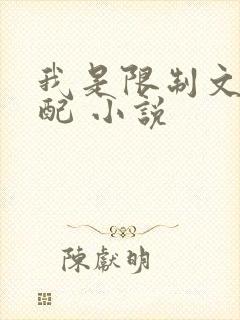 我是限制文的女配 小说