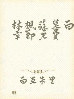 林枫苏慕白最新章节免费