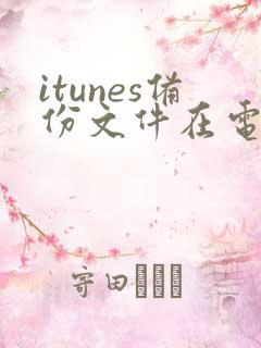 itunes备份文件在电脑哪个文件夹