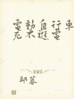 电动自行车电池充不进电