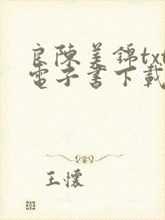 良陈美锦txt电子书下载