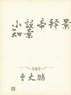 小说帝释景,南知意