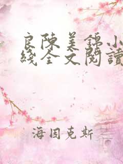 良陈美锦小说在线全文阅读