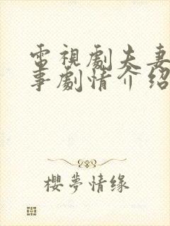 电视剧夫妻那些事剧情介绍