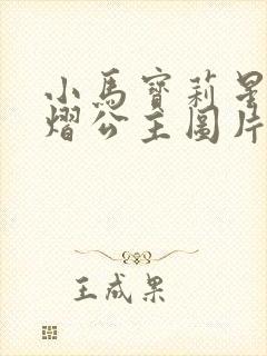 小马宝莉星光熠熠公主图片