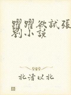 跃跃欲试张岚老刘小说