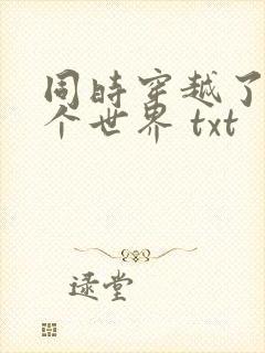 同时穿越了99个世界 txt