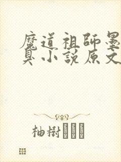 魔道祖师墨香铜臭小说原文免费阅读