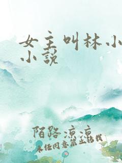 女主叫林小鱼的小说