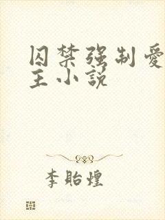 囚禁强制爱双男主小说