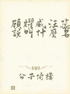 顾耀威汪蕊的小说叫什么名字