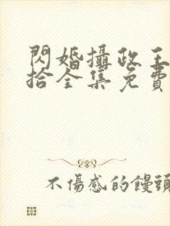 闪婚摄政王欠收拾全集免费