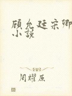 顾允廷宋卿落的小说