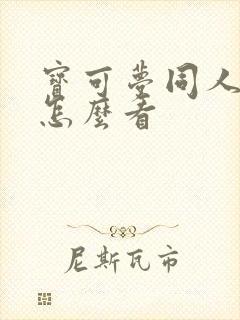 宝可梦同人本子怎么看