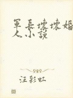 军长坏坏婚宠撩人小说