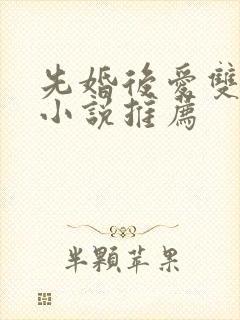 先婚后爱双男主小说推荐