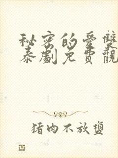 秘密的爱双男主泰剧免费观看