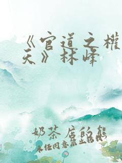 《官道之权势滔天》林峰