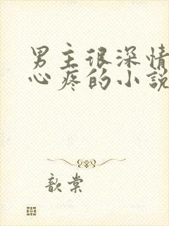 男主很深情令人心疼的小说