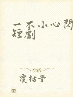 一不小心闪婚了短剧