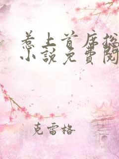 惹上首席总裁2小说免费阅读全文