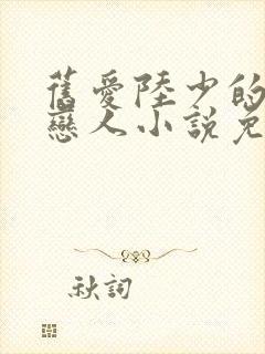 旧爱陆少的秘密恋人小说免费阅读