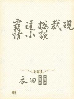 霸道总裁现代言情小说