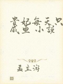 贵妃每天只想当咸鱼 小说