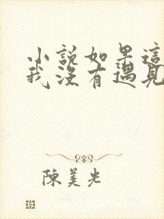 小说如果这一秒我没有遇见你