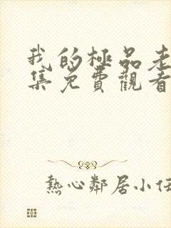 我的极品老婆全集免费观看