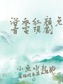 浴血红颜免费观看电视剧