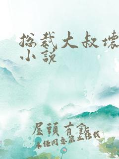 总裁大叔坏坏爱小说